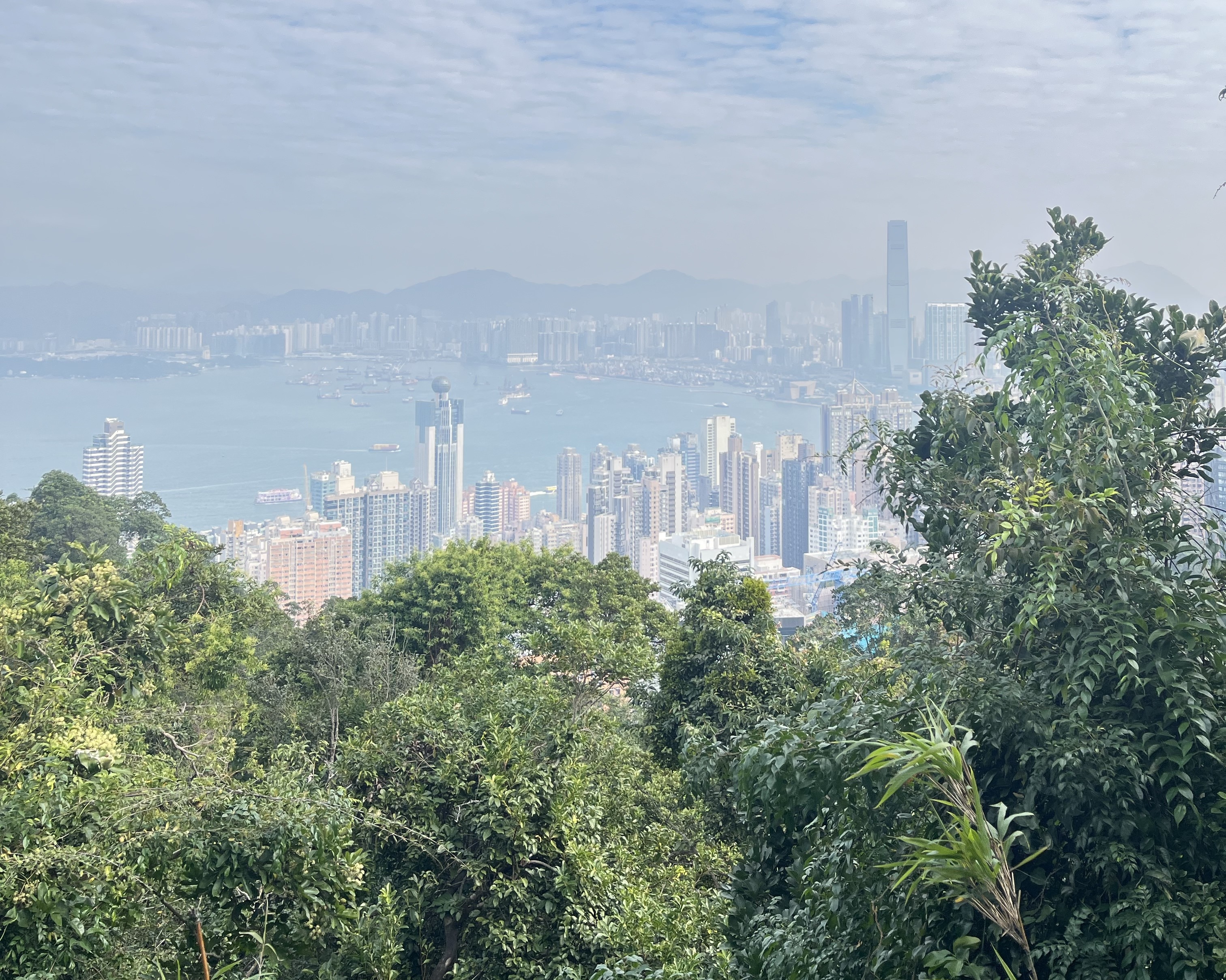 Hong Kong on a Budget: Hike to The Peak via Lung Fu Shan Morning Trail — Hong Kong
