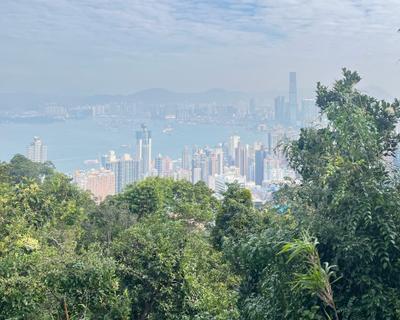 Hong Kong on a Budget: Hike to The Peak via Lung Fu Shan Morning Trail — Hong Kong